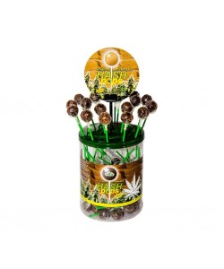 Confezione Lecca-Lecca alla cannabis gusto Hash - 70 pcs