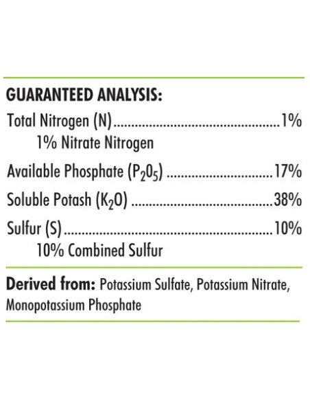 Advanced Nutrients - Big Bud - 500 mL