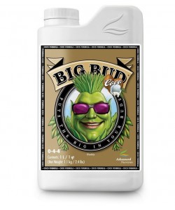 Big Bud Coco - 1L
