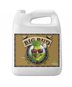 Big Bud Coco - 250 mL