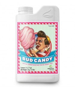 Bud Candy - 1L