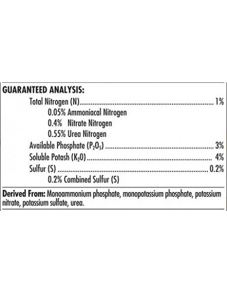 Advanced Nutrients Ph Perfect  Bloom 1L