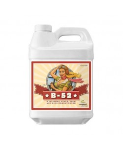 B-52 - 250 mL