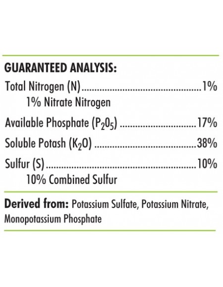 Advanced Nutrients - Big Bud - 10L