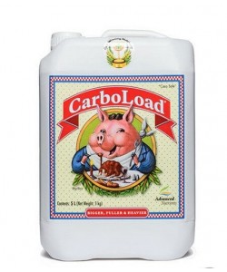 Carboload - 5L