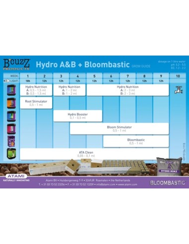 Atami - Bloombastic - 325mL