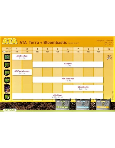 Atami - ATA Terra Bloombastic - Mega Box