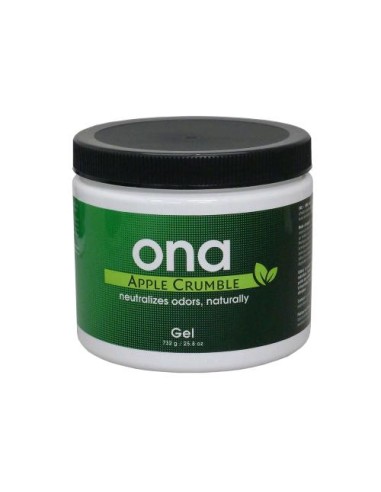 ONA - Gel Apple Crumble - Elimina Odori - 1L