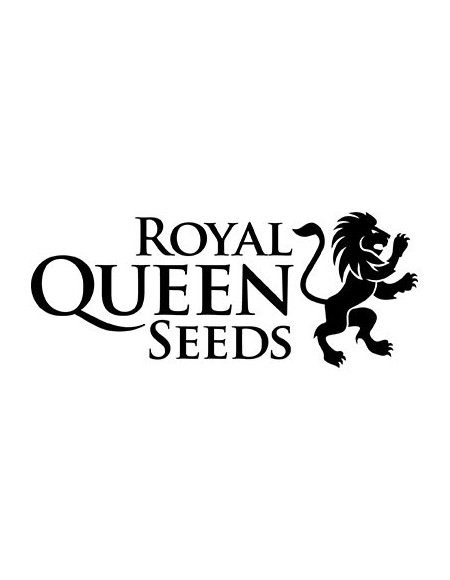 Royal Queen Seeds - F1 Hybrids - Hyperion F1...