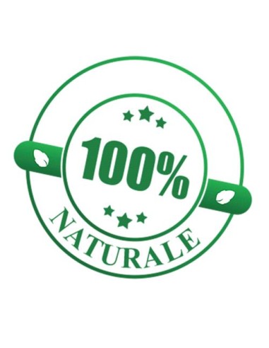 Flortis Naturae - Equiseto Sostanza Base -...