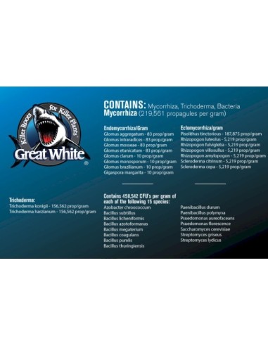 Plant Success - Great White - 2,26 Kg