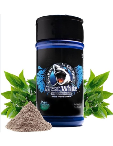 Plant Success - Great White - 28 Gr