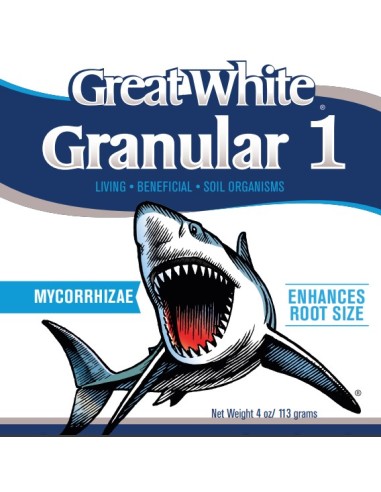 Plant Success - Great White Granular - 1Kg