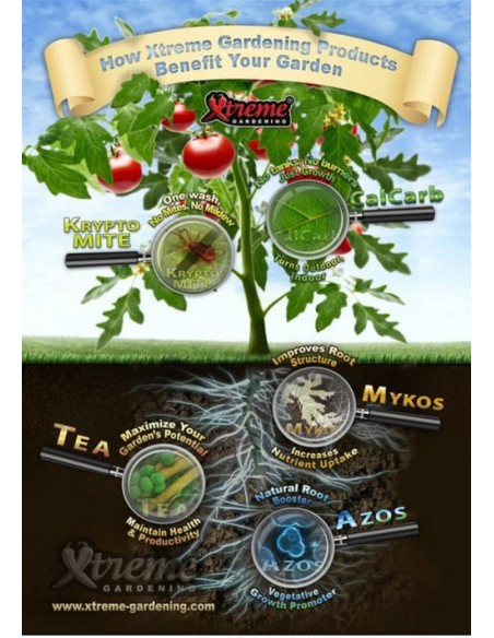 Xtreme Gardening - Azos - 170 Gr