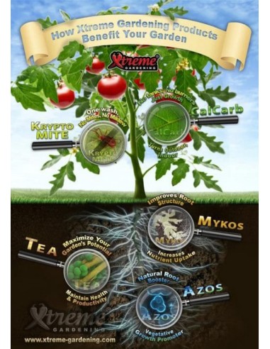 Xtreme Gardening - Mykos - Micorrize - 100g