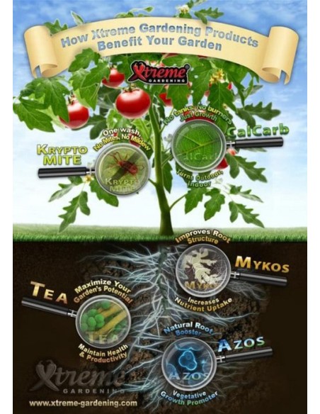 Xtreme Gardening - Mykos - Micorrize - 100g