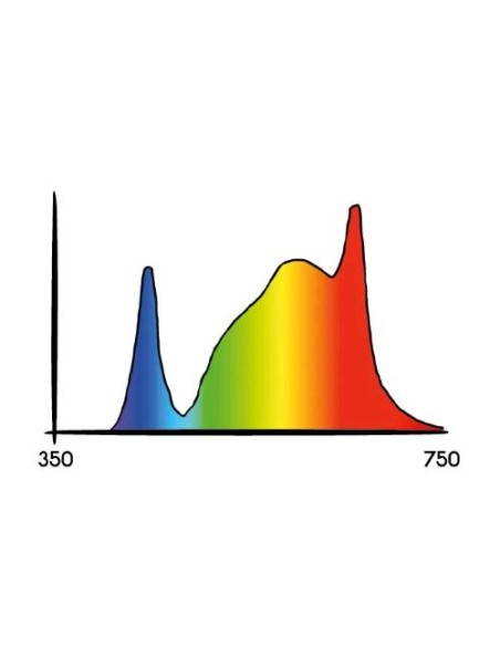 KIT Secret Jardin TNOLED 2x40W Bloom COL 1.8