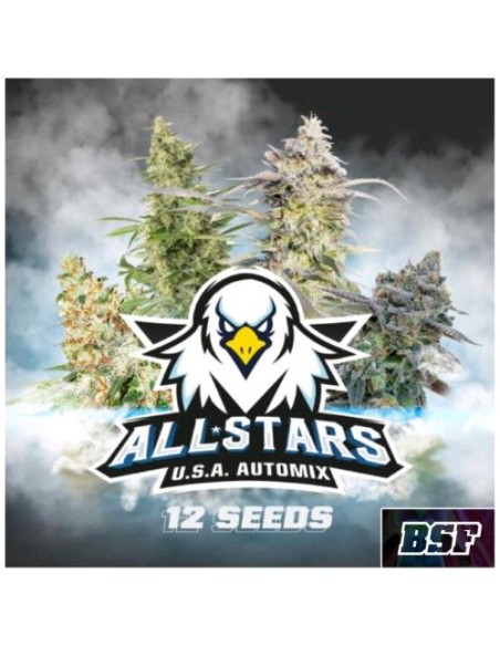 BSF - All Star Usa - Automix - Pack 12 Semi