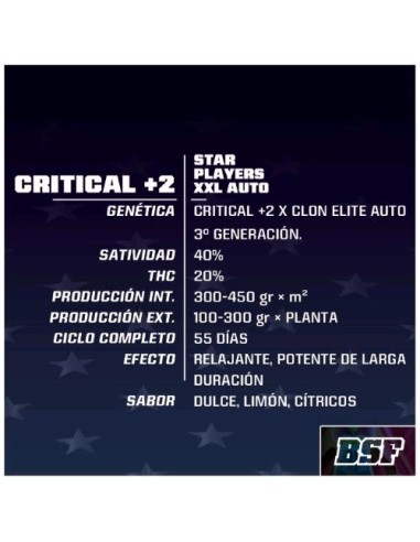 BSF - Critical +2 XXL - Auto - 2 Semi