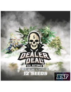 BSF - Dealer Deal XXL - Automix - 12 Semi 2