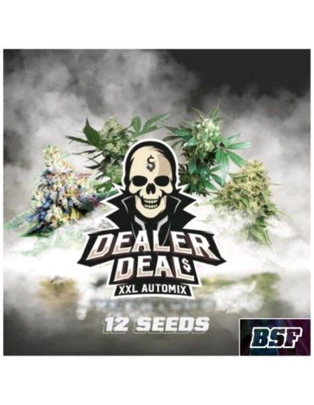 BSF - Dealer Deal XXL - Automix - 12 Semi
