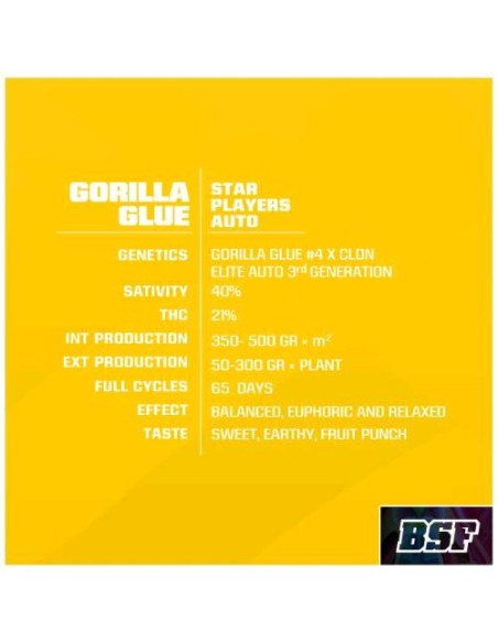 BSF - Gorilla Glue - Auto - 4 Semi