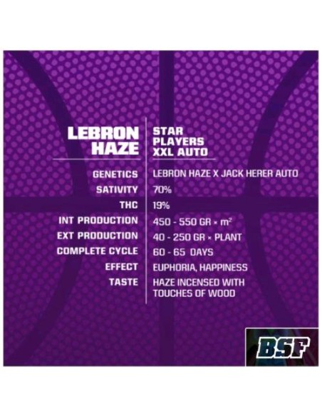 BSF - Lebrone Haze XXL - Auto - 4 Semi