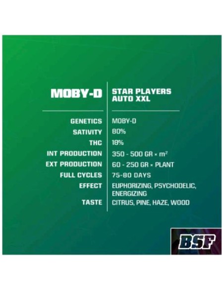 BSF - Moby D - XXL  Auto - 2 Semi