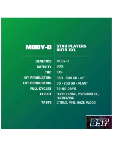 BSF - Moby D - XXL - Auto - 7 Semi