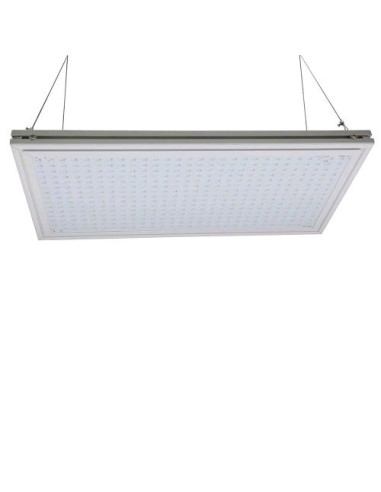 Phytolite Resina Micro Board 60W Led per Piccole Coltivazioni Indoor