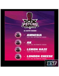 BSF - Psycho XXL Automix - Pack 12 Semi