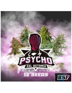 BSF - Psycho XXL Automix - Pack 12 Semi 2
