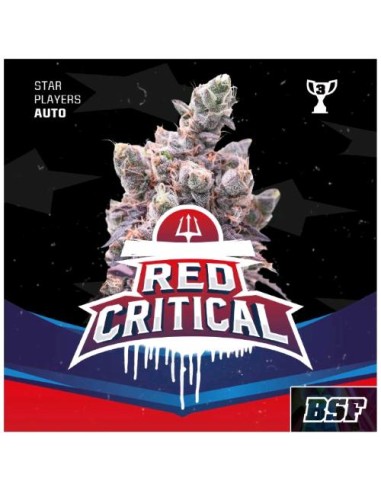 BSF - Red Critical Auto - 2 Semi