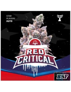 BSF - Red Critical Auto - 4 Semi