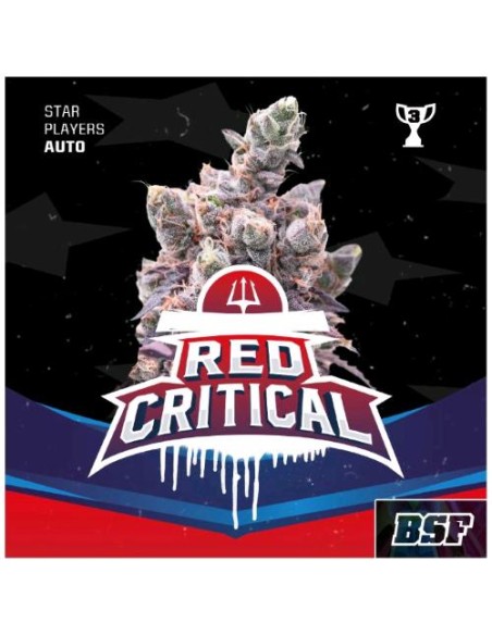 BSF - Red Critical Auto - 4 Semi BSF - Red Critical Auto - 4 Semi