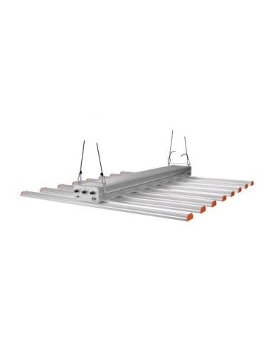 Phytolite Resina Q-BAR 700W