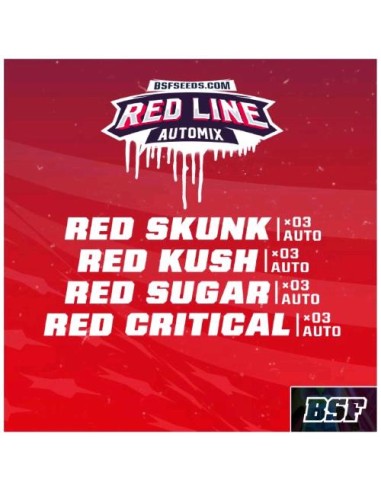 BSF - Red line - Automix - 12 Semi