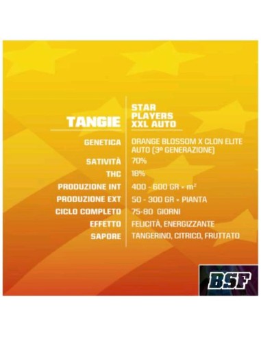 BSF - Tangie XXL Auto - 7 semi