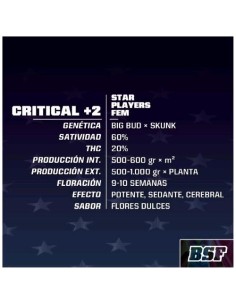 BSF - Critical +2 fem - 4 semi 2