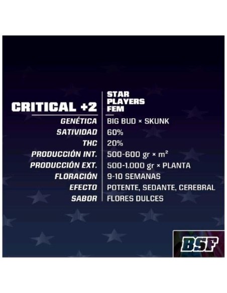 BSF - Critical +2 fem - 4 semi