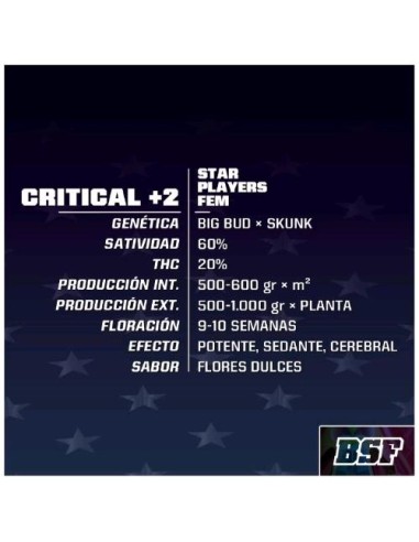 BSF - Critical +2 fem - 7 semi