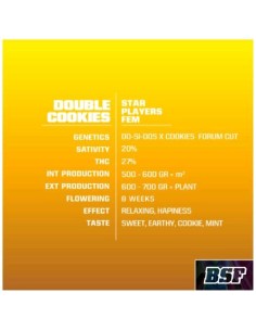 BSF - Double Cookies fem - 2 semi 2
