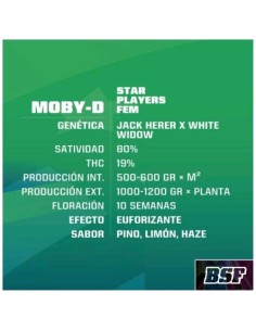 BSF - Moby -D fem - 7 semi 2