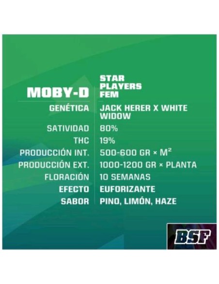 BSF - Moby -D fem - 7 semi