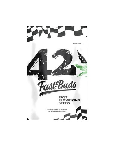 Fast Buds - GG4 Sherbet FF - fem - 1 seme