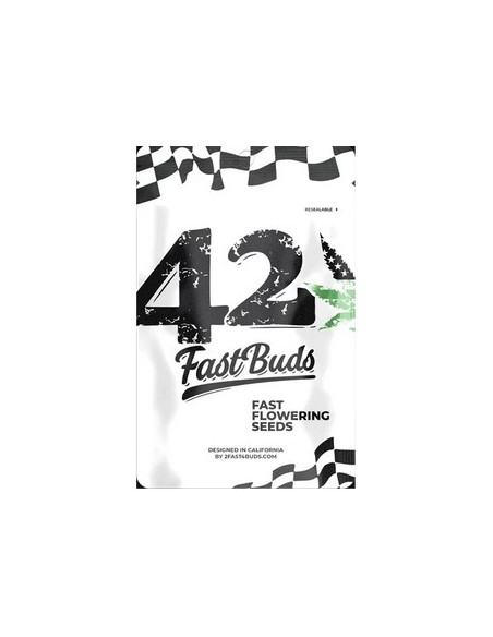 Fast Buds - GG4 Sherbet FF - fem - 1 seme