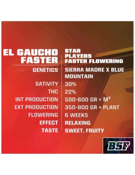 BSF - El Gaucho Fast  fem - 2 semi