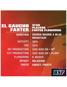 BSF - El Gaucho Fast - fem - 4 semi 2