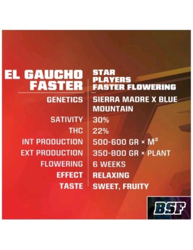 BSF - El Gaucho Fast  fem - 4 semi