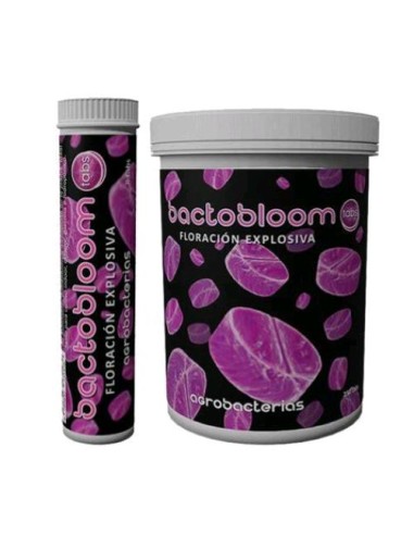 Agrobacterias - Bactobloom - 100 - TABS